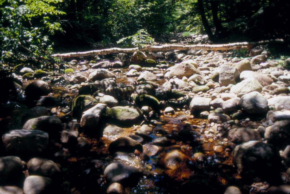 김차섭이 촬영한 국내외 풍경 사진