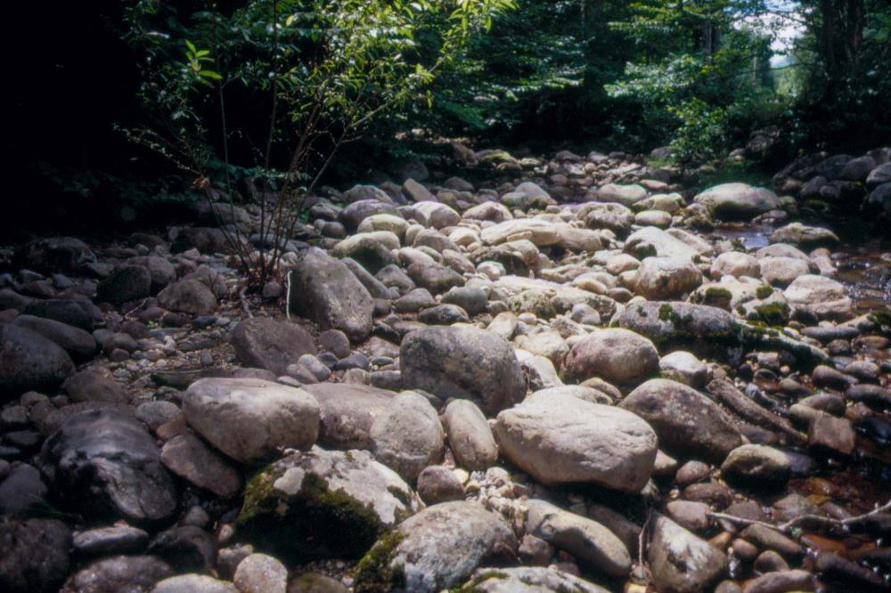 김차섭이 촬영한 국내외 풍경 사진
