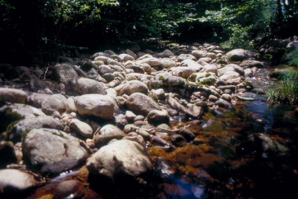 김차섭이 촬영한 국내외 풍경 사진