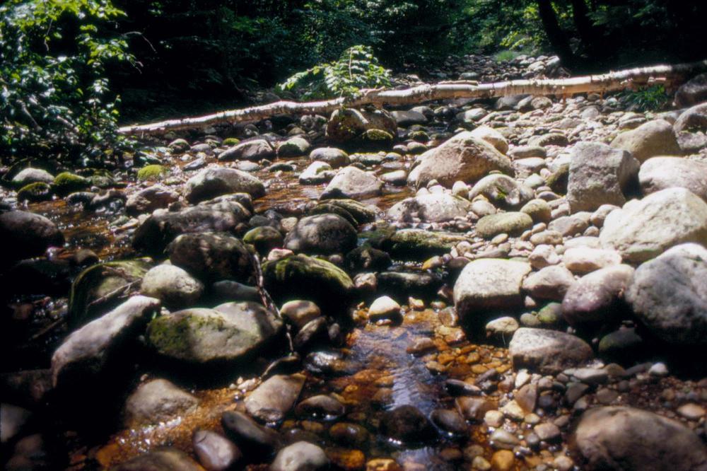 김차섭이 촬영한 국내외 풍경 사진