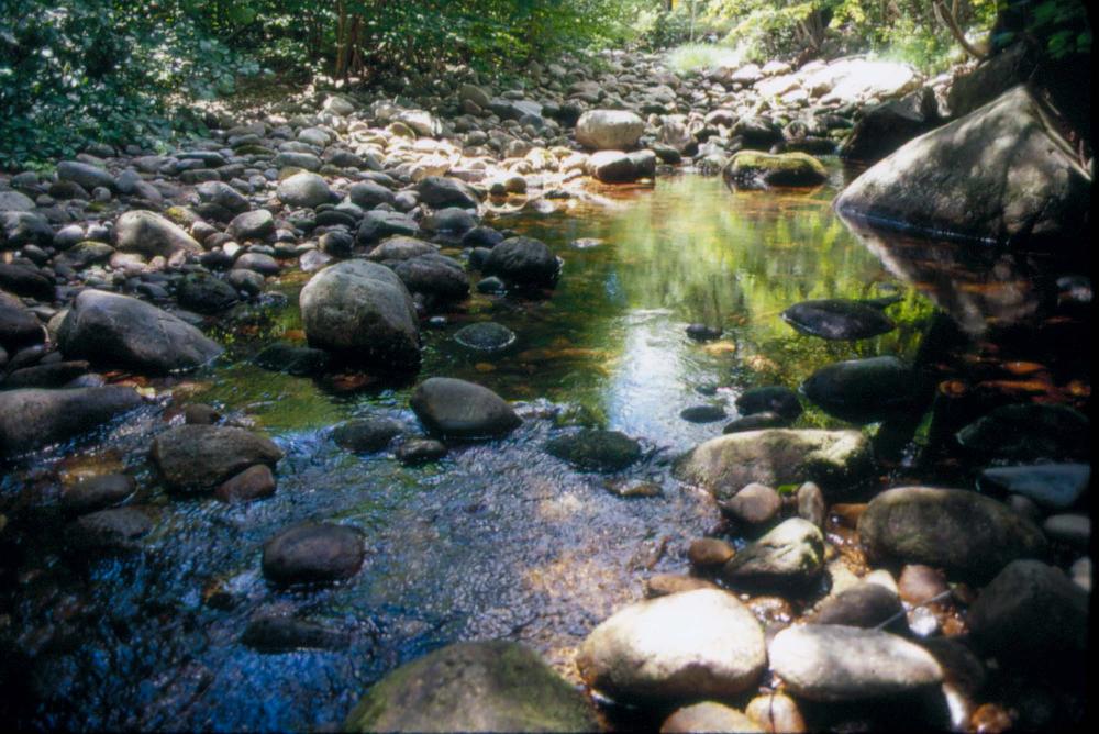 김차섭이 촬영한 국내외 풍경 사진