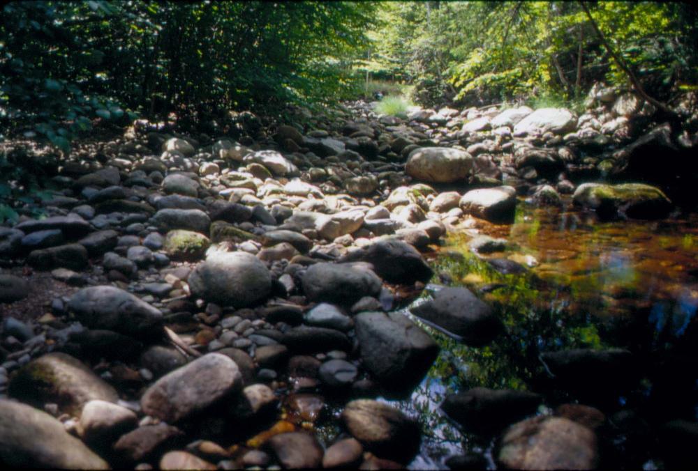 김차섭이 촬영한 국내외 풍경 사진