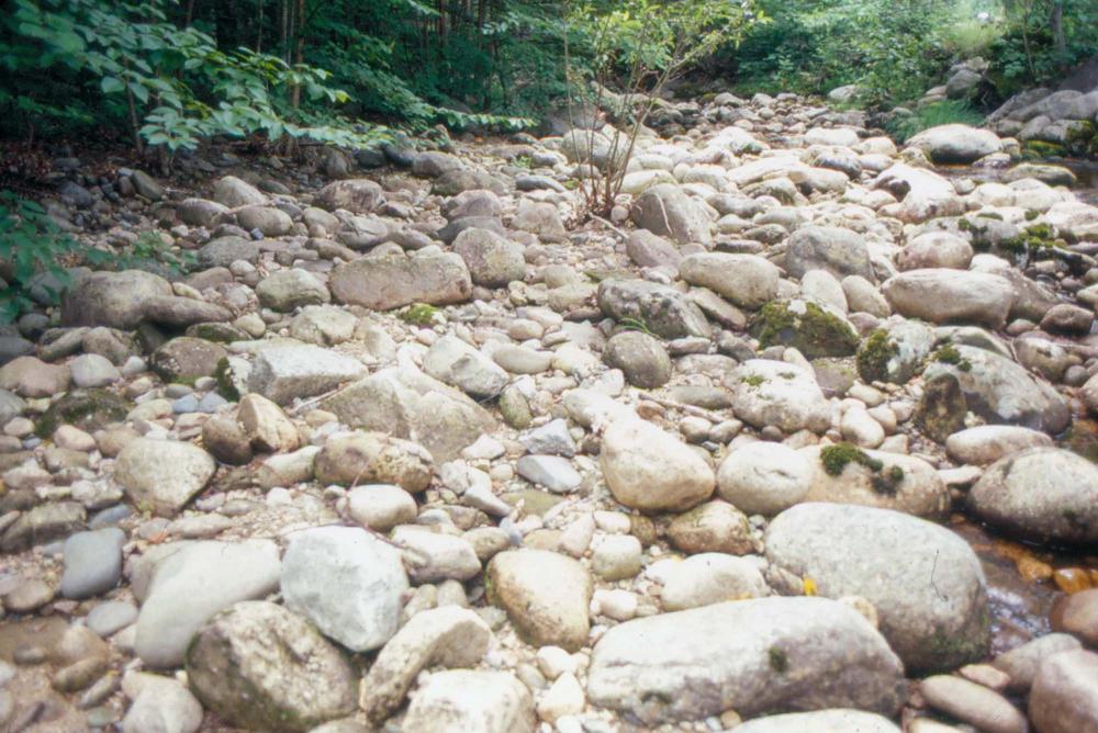 김차섭이 촬영한 국내외 풍경 사진