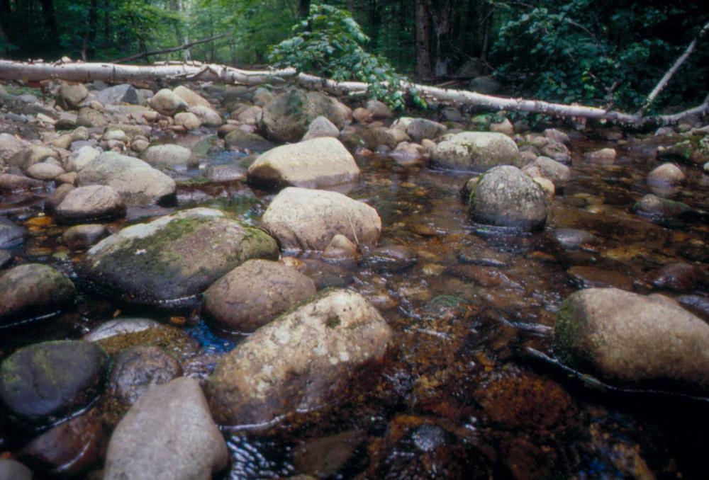 김차섭이 촬영한 국내외 풍경 사진