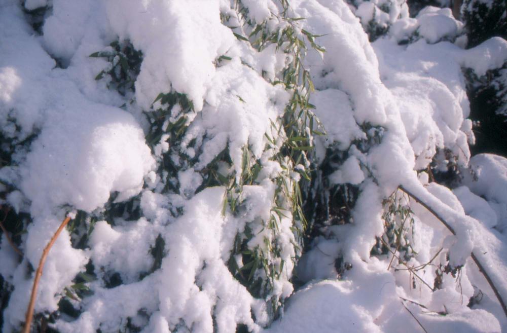 김차섭이 촬영한 국내외 풍경 사진