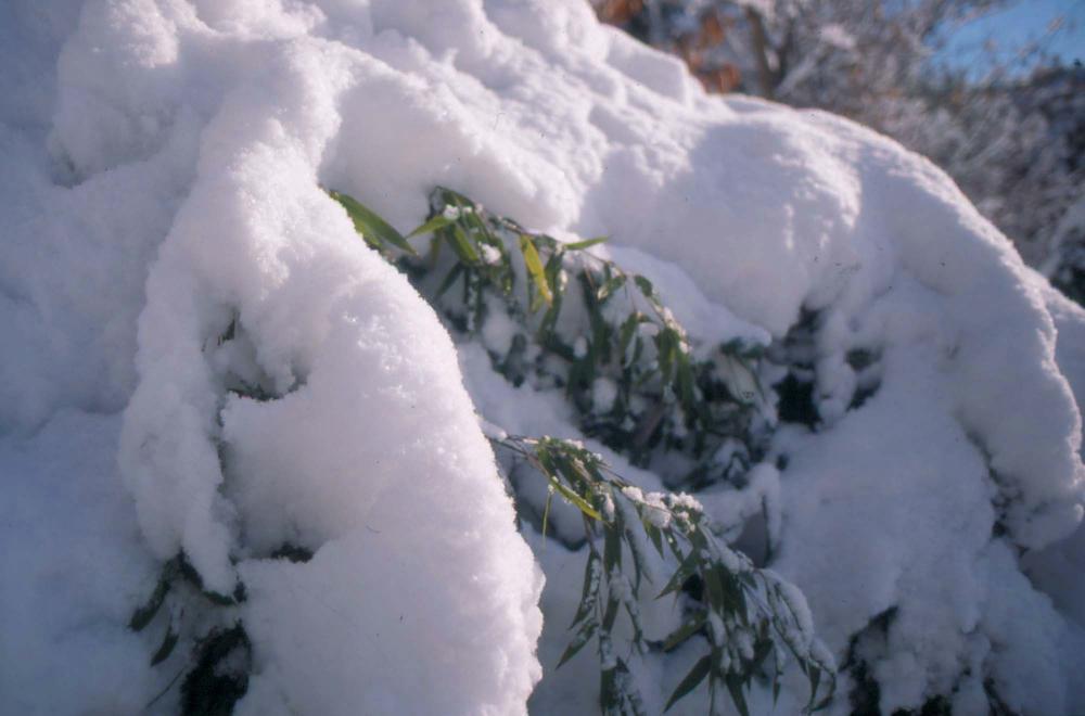 김차섭이 촬영한 국내외 풍경 사진