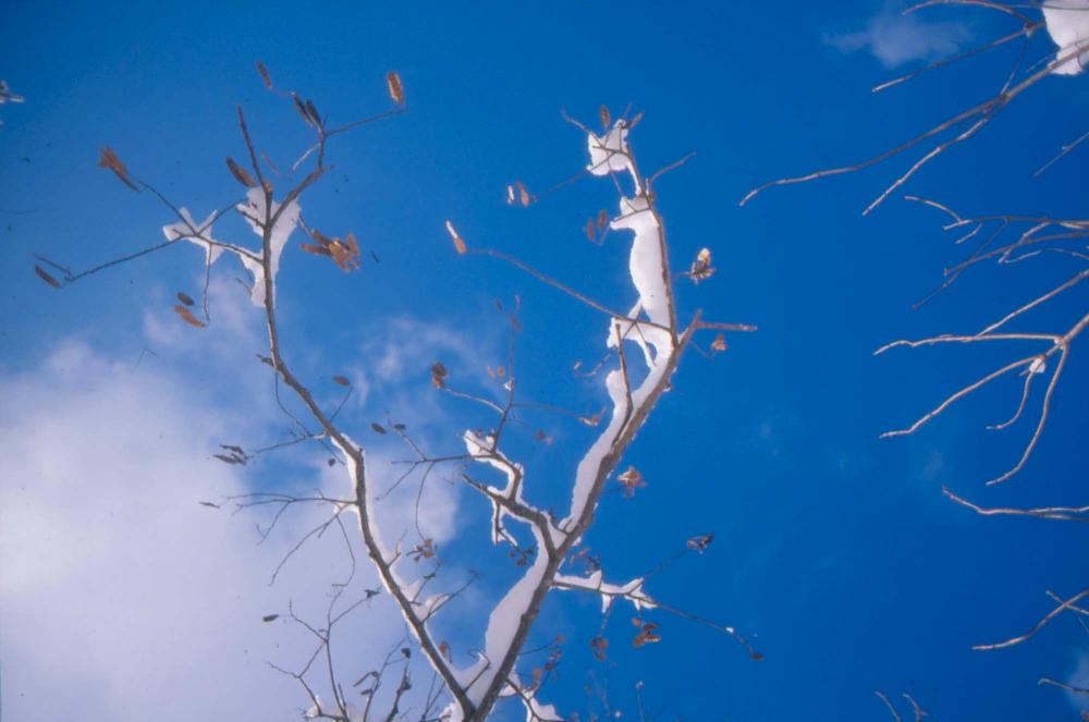 김차섭이 촬영한 국내외 풍경 사진
