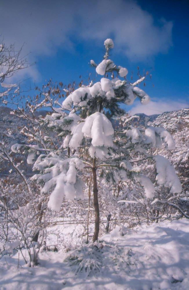 김차섭이 촬영한 국내외 풍경 사진