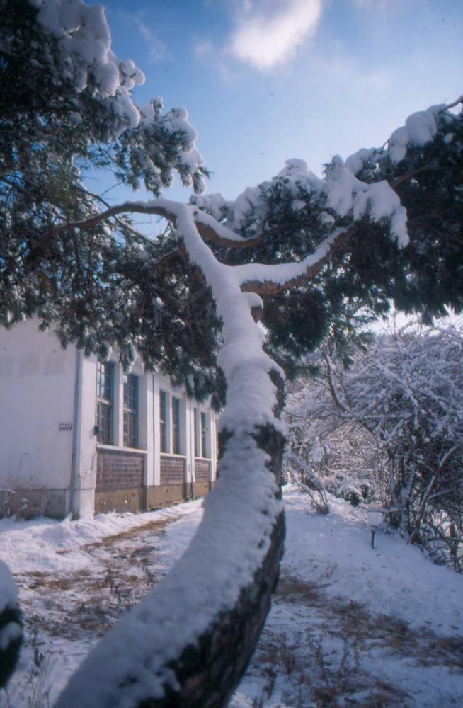 김차섭이 촬영한 국내외 풍경 사진