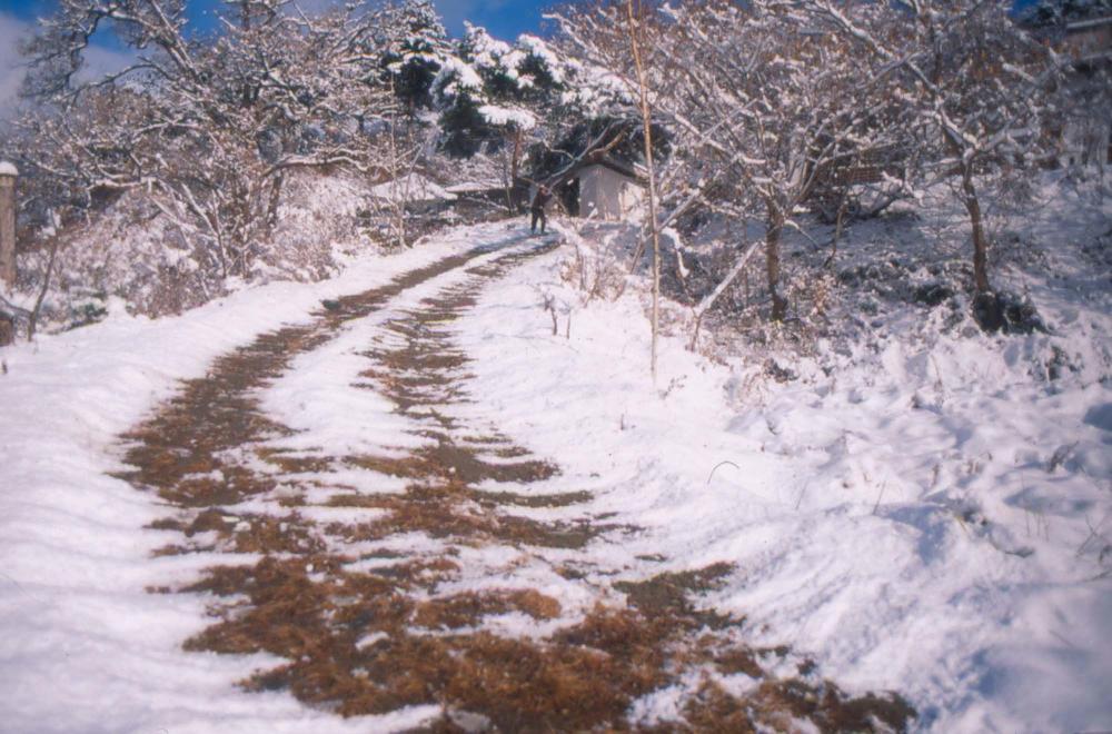김차섭이 촬영한 국내외 풍경 사진