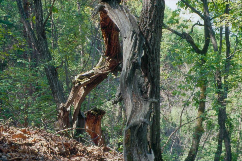 김차섭이 촬영한 국내외 풍경 사진