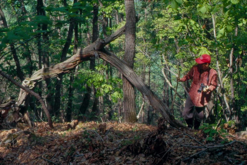 김차섭이 촬영한 국내외 풍경 사진