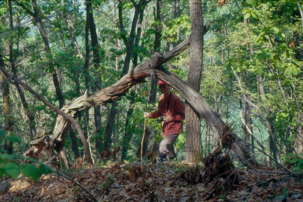 김차섭이 촬영한 국내외 풍경 사진