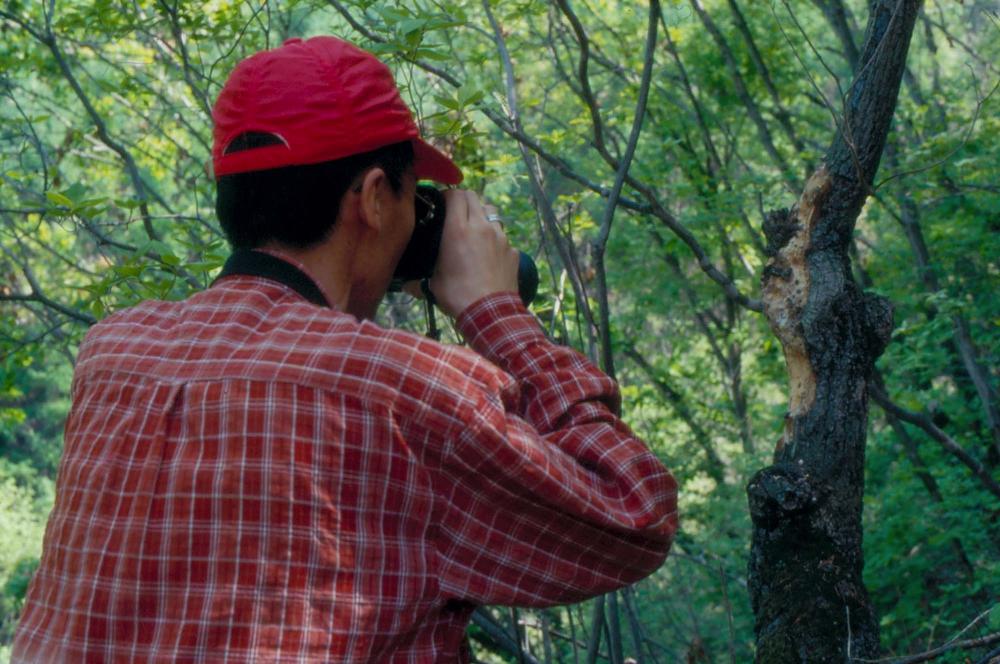 김차섭이 촬영한 국내외 풍경 사진