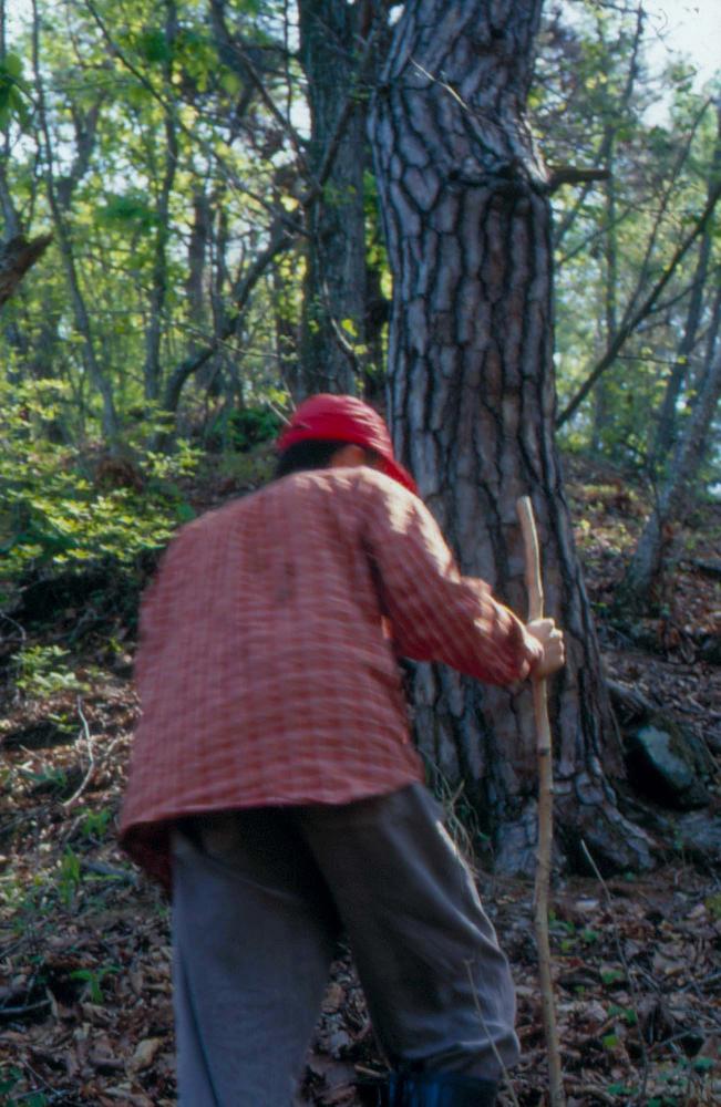 김차섭이 촬영한 국내외 풍경 사진