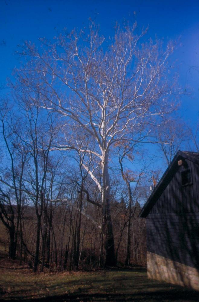 김차섭이 촬영한 국내외 풍경 사진