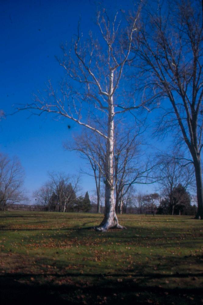 김차섭이 촬영한 국내외 풍경 사진