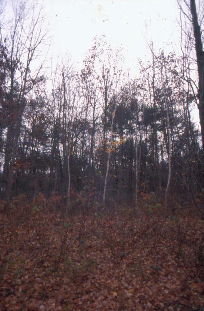 김차섭이 촬영한 국내외 풍경 사진