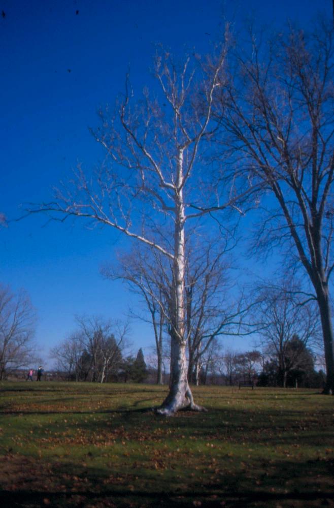 김차섭이 촬영한 국내외 풍경 사진