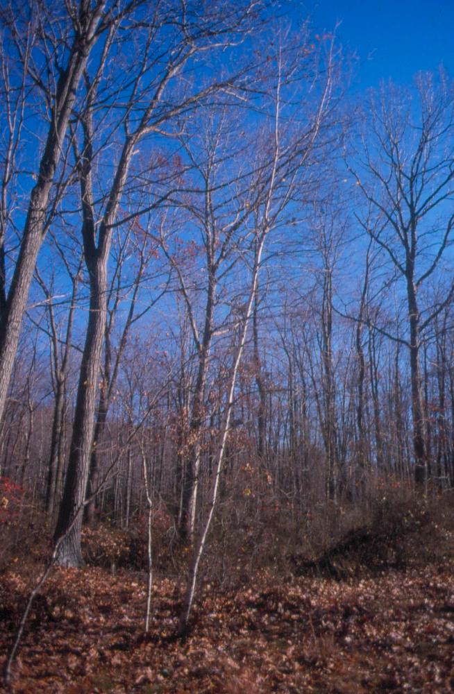 김차섭이 촬영한 국내외 풍경 사진