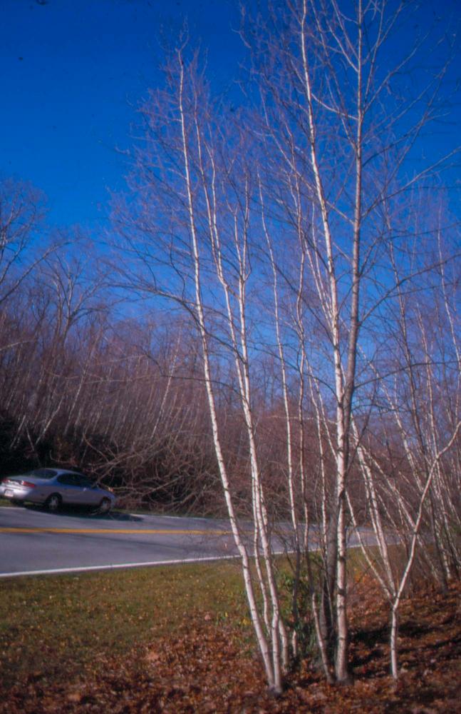 김차섭이 촬영한 국내외 풍경 사진