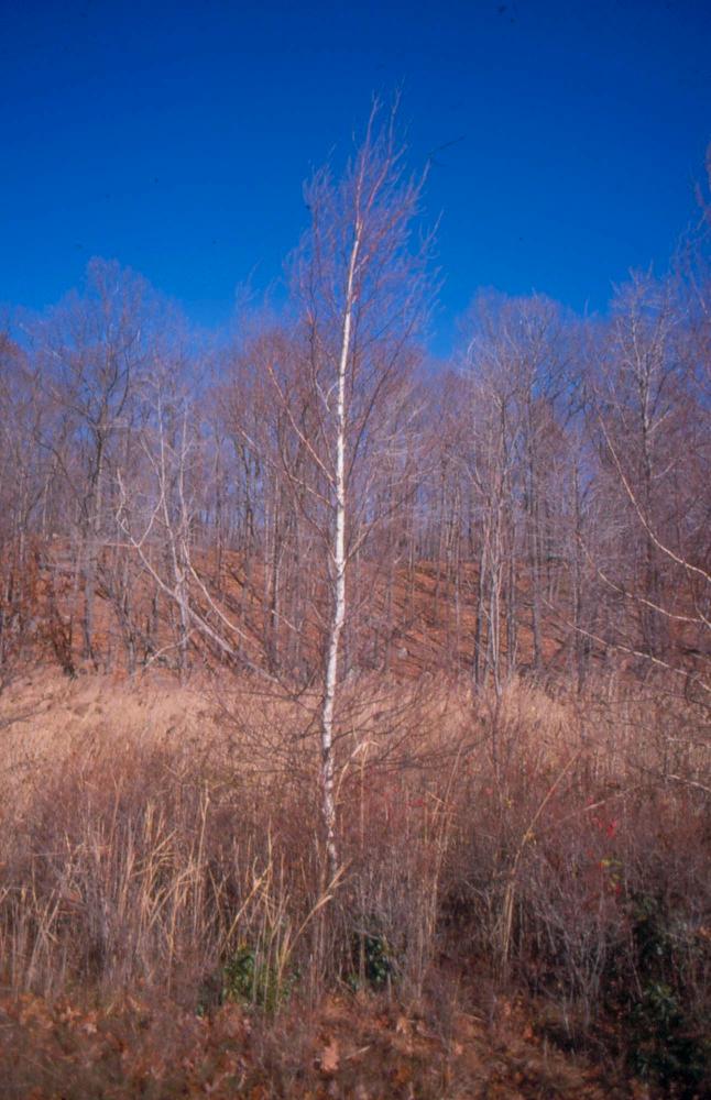 김차섭이 촬영한 국내외 풍경 사진