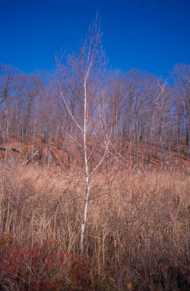 김차섭이 촬영한 국내외 풍경 사진