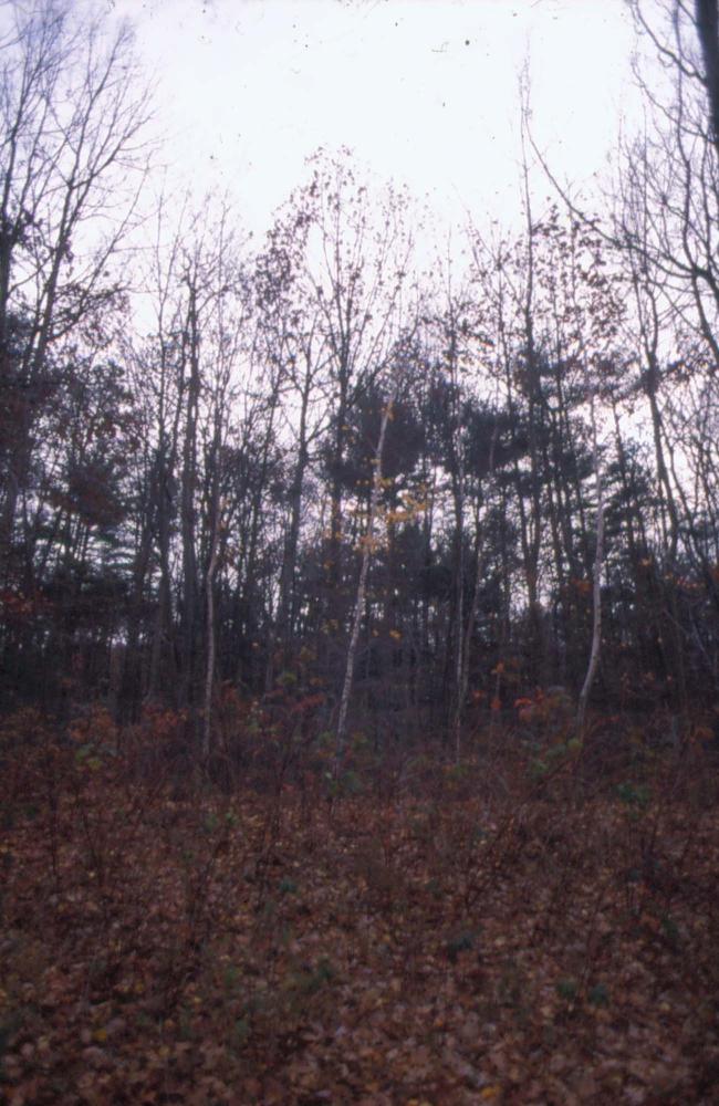 김차섭이 촬영한 국내외 풍경 사진