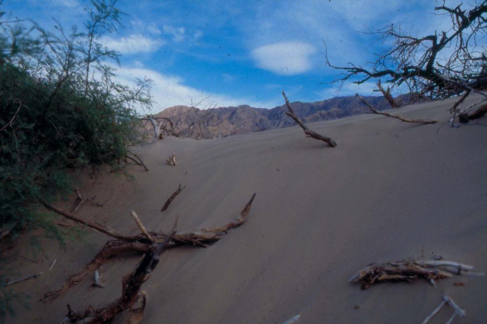 김차섭이 촬영한 국내외 풍경 사진
