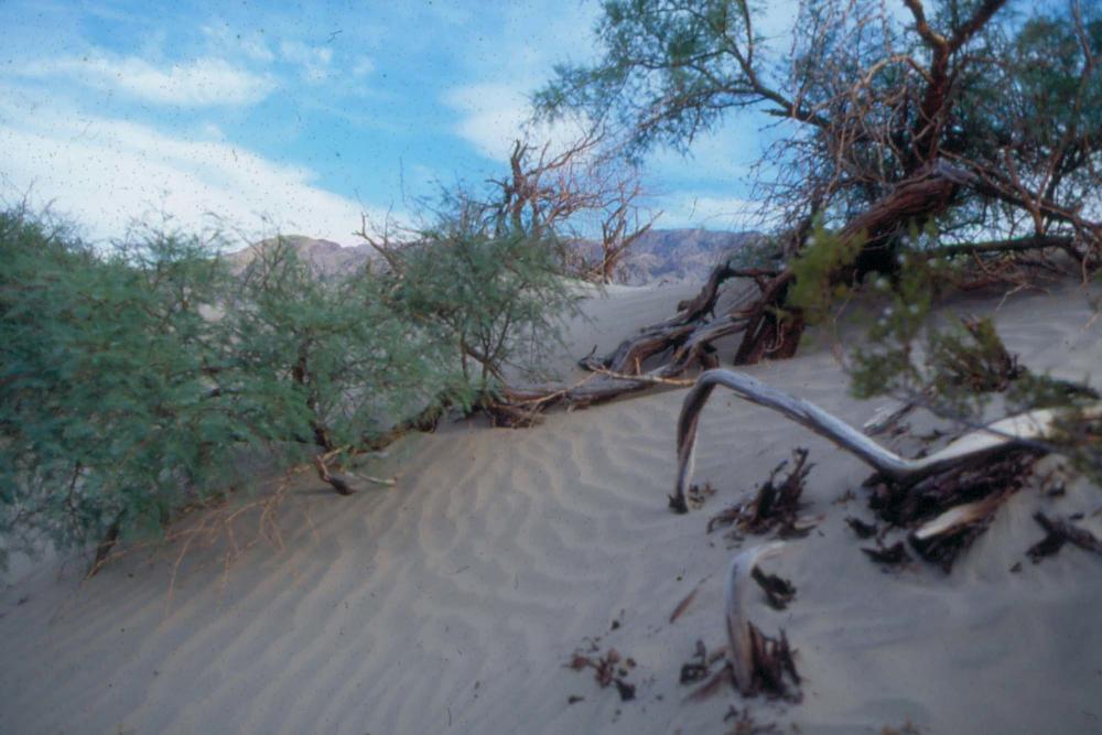 김차섭이 촬영한 국내외 풍경 사진