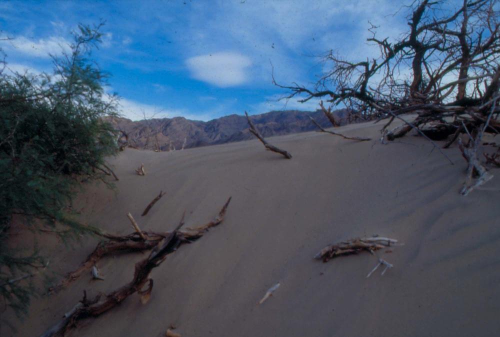 김차섭이 촬영한 국내외 풍경 사진