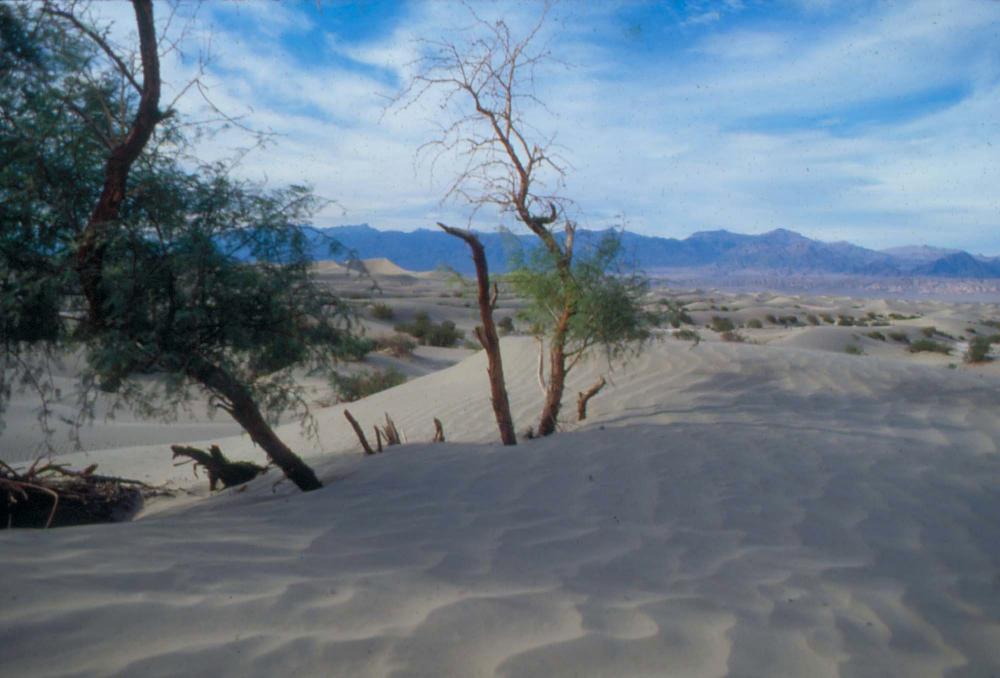 김차섭이 촬영한 국내외 풍경 사진