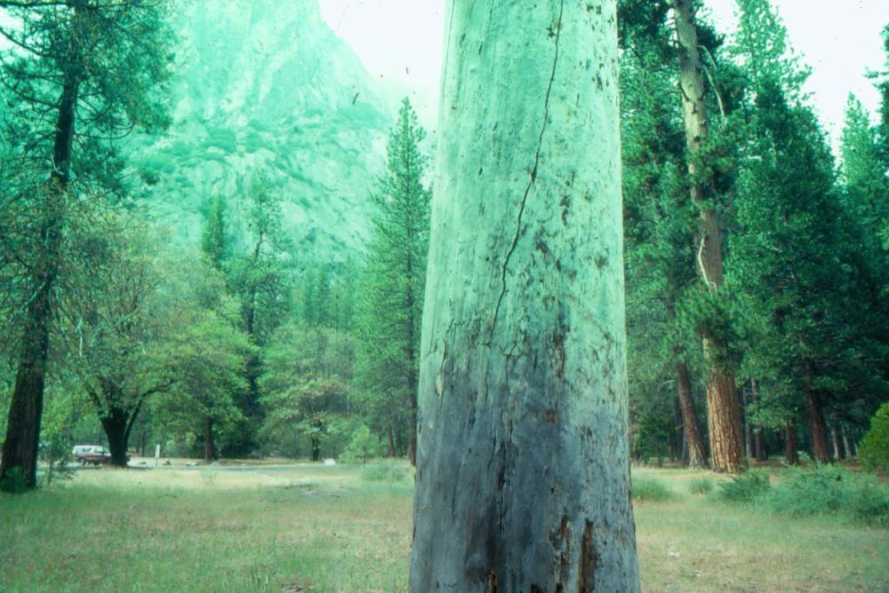 김차섭이 촬영한 국내외 풍경 사진