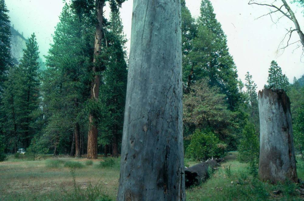 김차섭이 촬영한 국내외 풍경 사진