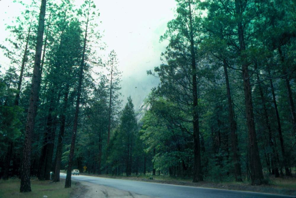 김차섭이 촬영한 국내외 풍경 사진