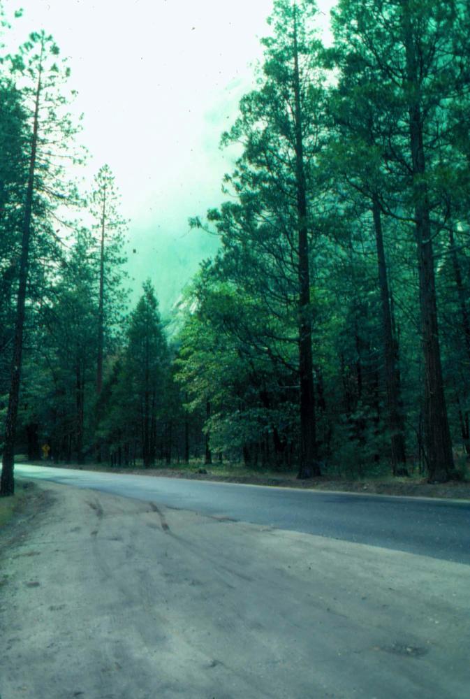김차섭이 촬영한 국내외 풍경 사진