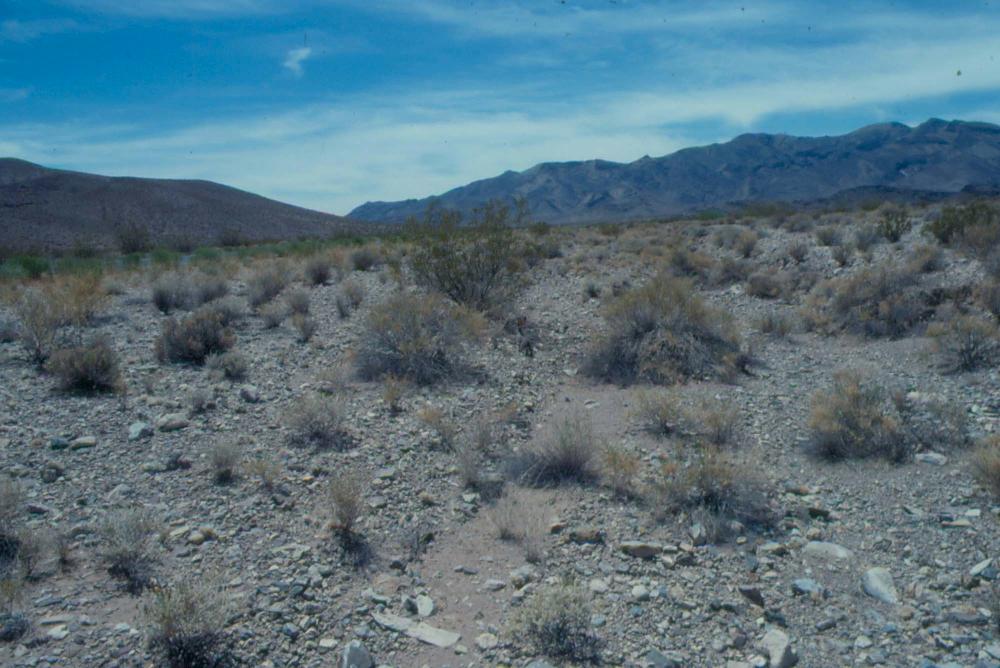 김차섭이 촬영한 국내외 풍경 사진