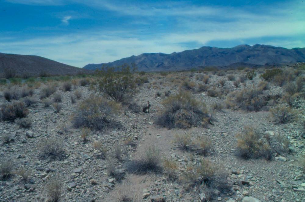 김차섭이 촬영한 국내외 풍경 사진