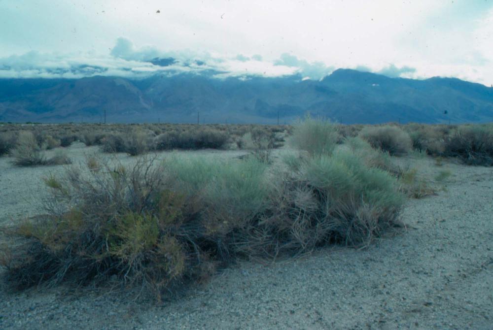 김차섭이 촬영한 국내외 풍경 사진
