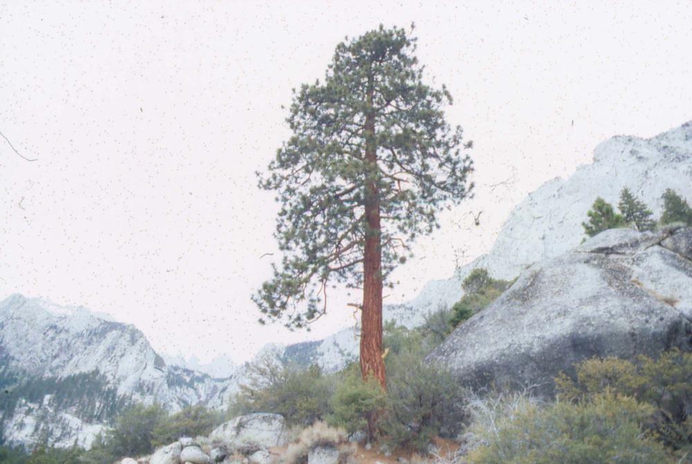 김차섭이 촬영한 국내외 풍경 사진
