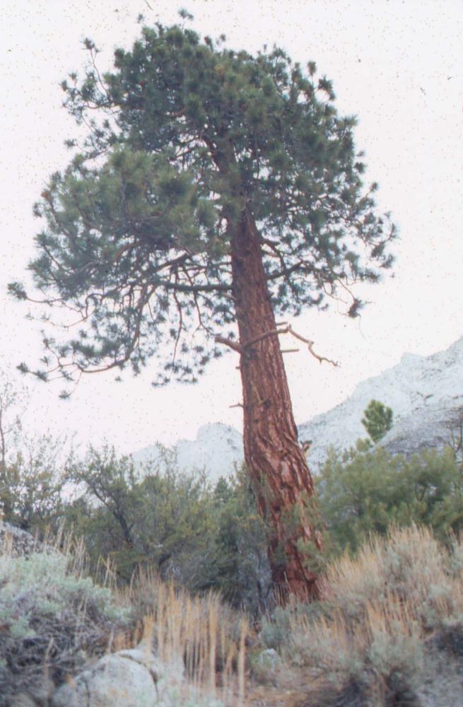 김차섭이 촬영한 국내외 풍경 사진