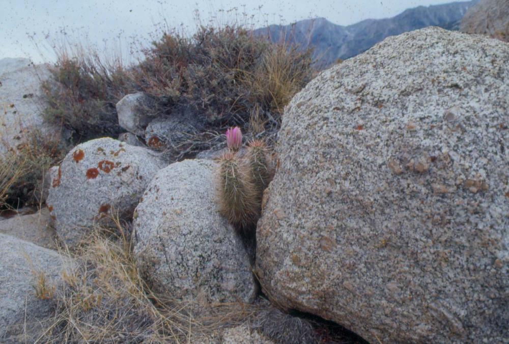 김차섭이 촬영한 국내외 풍경 사진