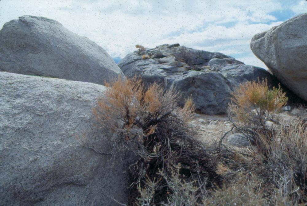 김차섭이 촬영한 국내외 풍경 사진