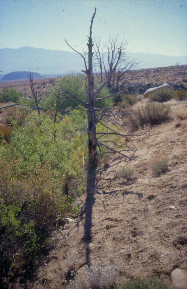 김차섭이 촬영한 국내외 풍경 사진