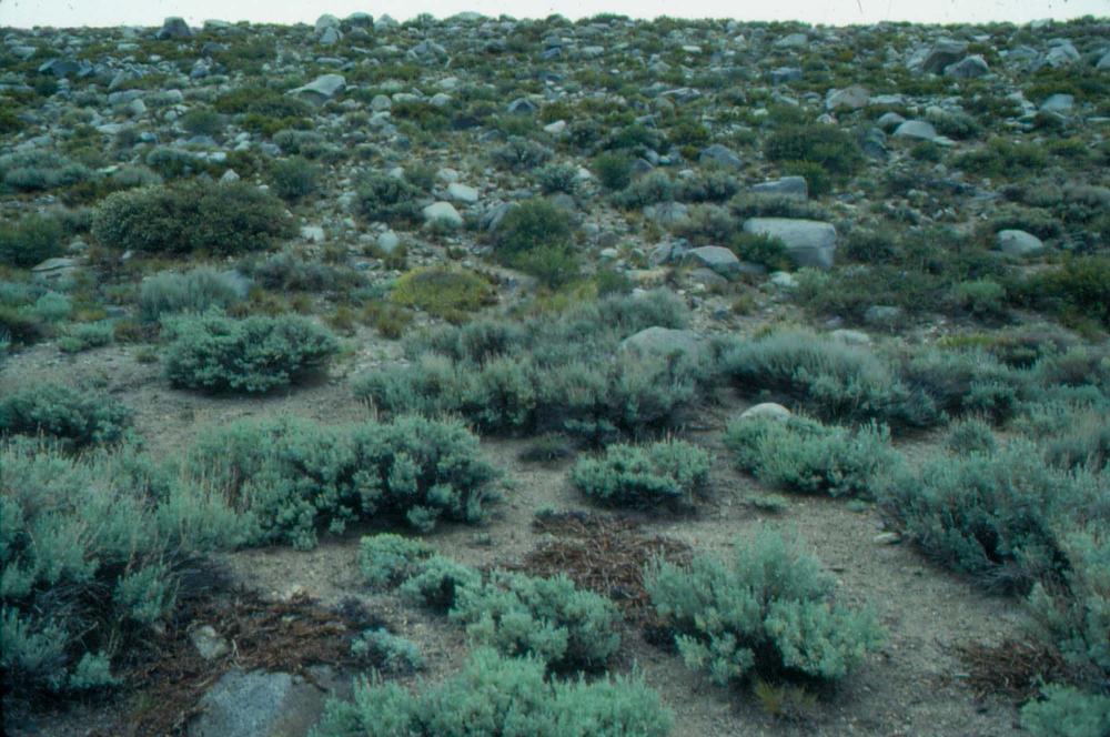 김차섭이 촬영한 국내외 풍경 사진