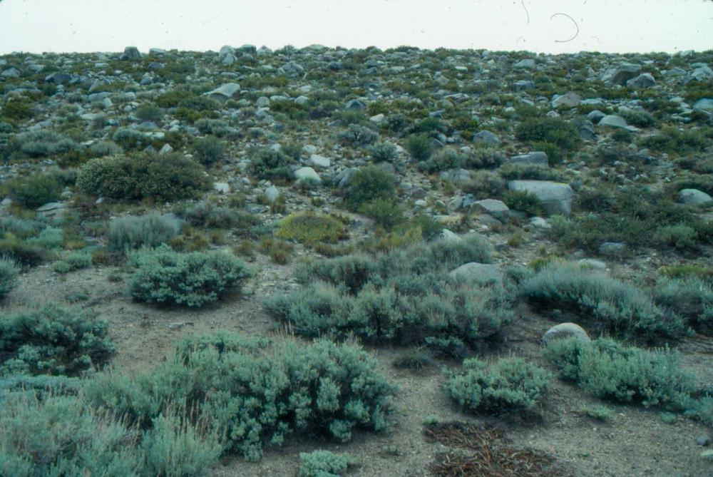 김차섭이 촬영한 국내외 풍경 사진