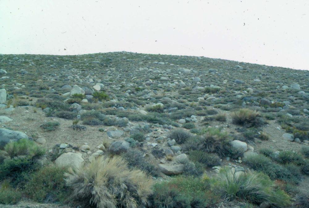김차섭이 촬영한 국내외 풍경 사진