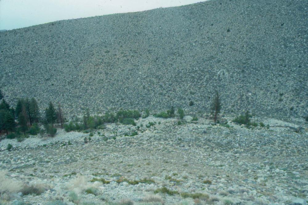 김차섭이 촬영한 국내외 풍경 사진