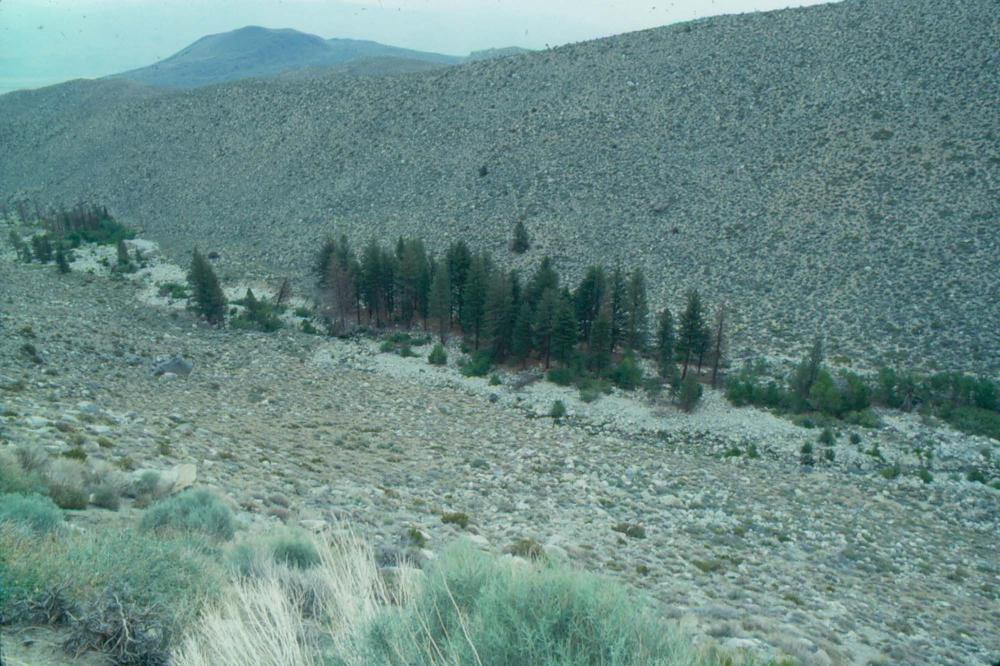 김차섭이 촬영한 국내외 풍경 사진