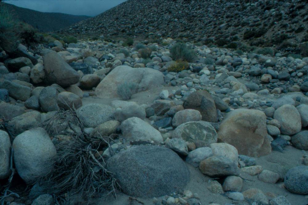 김차섭이 촬영한 국내외 풍경 사진